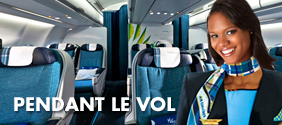 Pendant le vol