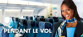 Pendant le vol