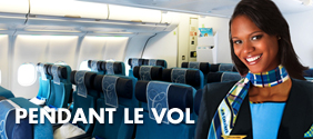 Pendant le vol