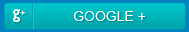 Google +