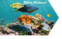 Promotions Paris - Saint-Martin Juliana - Air Caraibes